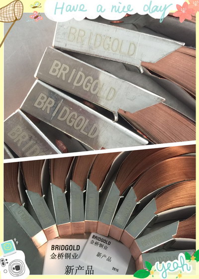 銅帶軟連接 銅帶軟連接