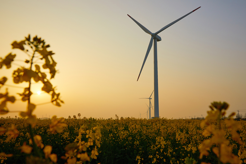 風(fēng)力發(fā)電機