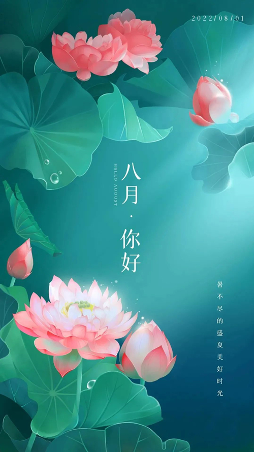 八月你好 八月你好
