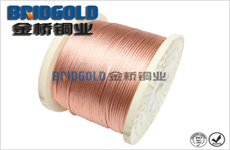 電刷銅絞線 電刷銅絞線