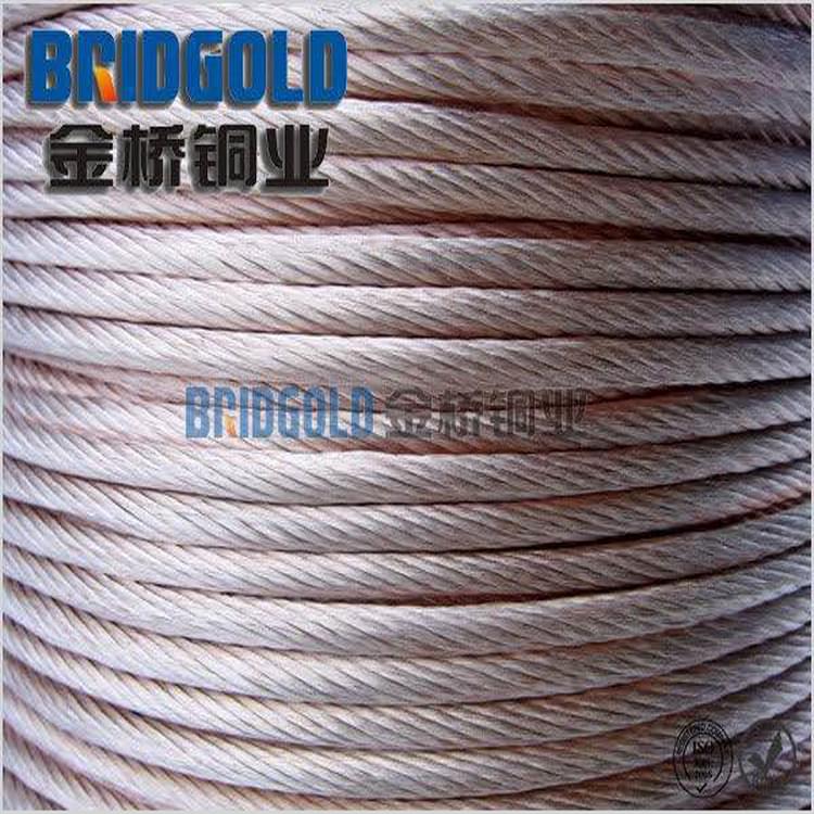 鍍錫接地銅絞線 鍍錫接地銅絞線